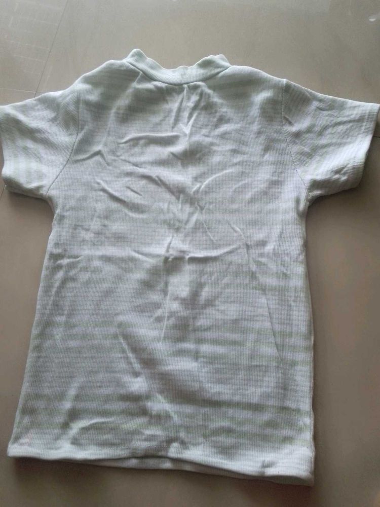 Green And White Combination Fitted Top