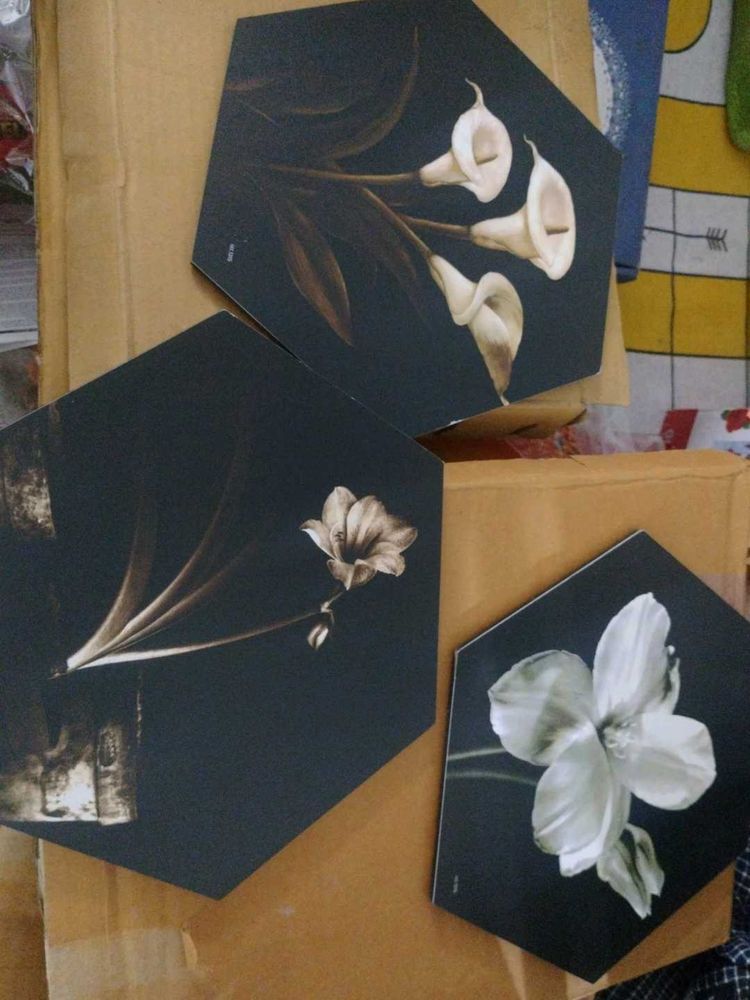 New Floral Wall Decor (Set of 3)