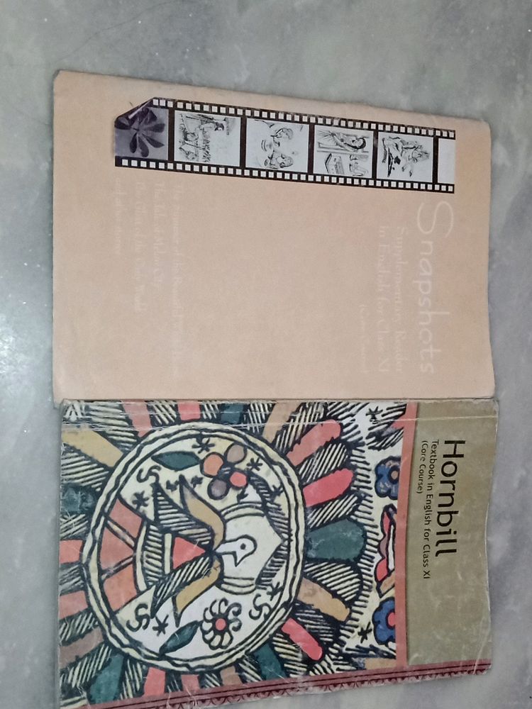 Class 11 Hornbill And Snapshot