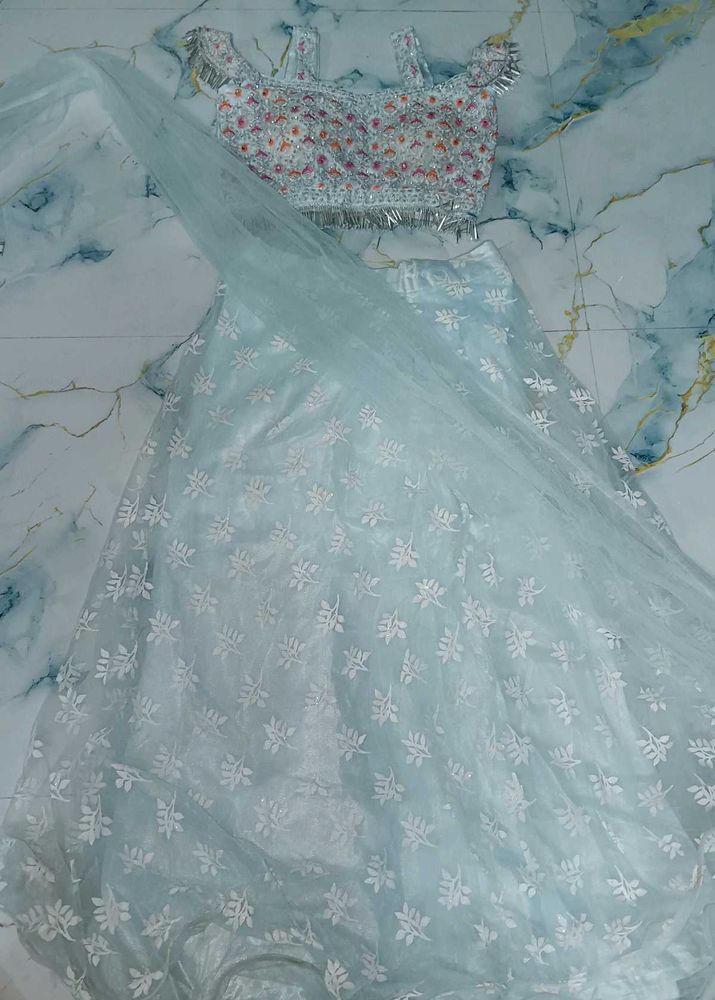 Embroidered Lehenga Choli