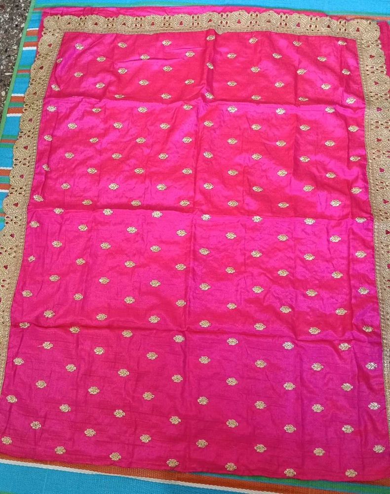 Pink Ethnic Saree with Gold Detail