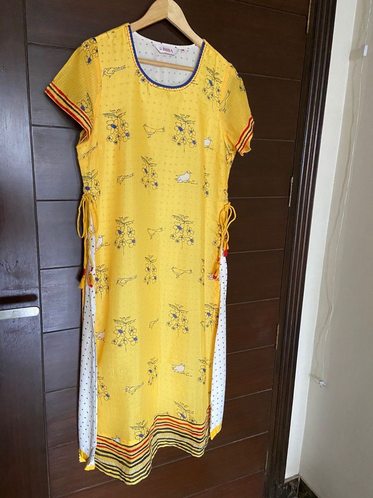 Biba Women’s Layered Kurta (38)xl