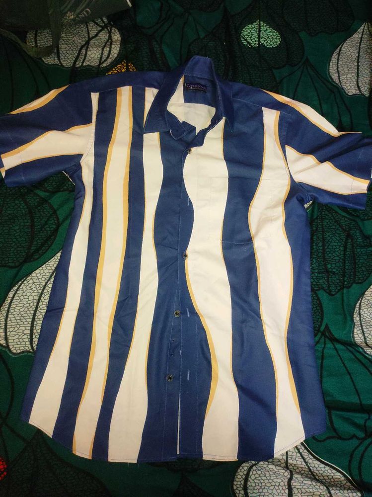 Branded New Striped Shirts
