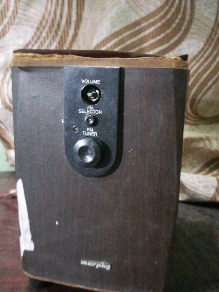 murphy 2.1 sound system. only buffer.  fm or aux system