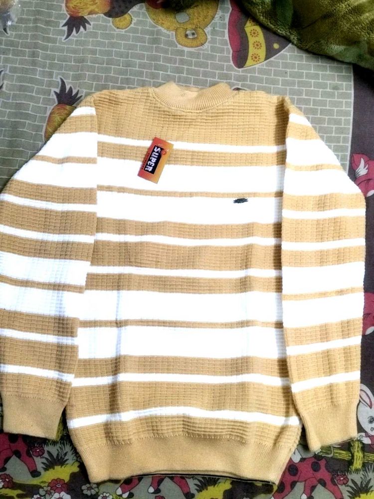 Striped Pullover Sweater