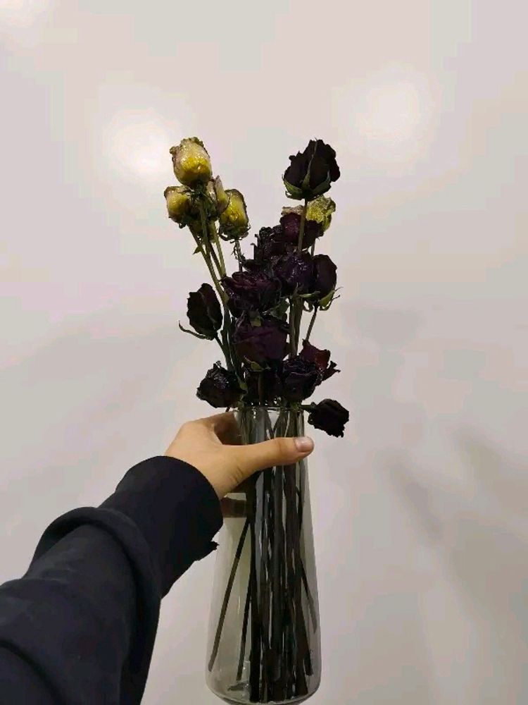 Glass Flower Vase