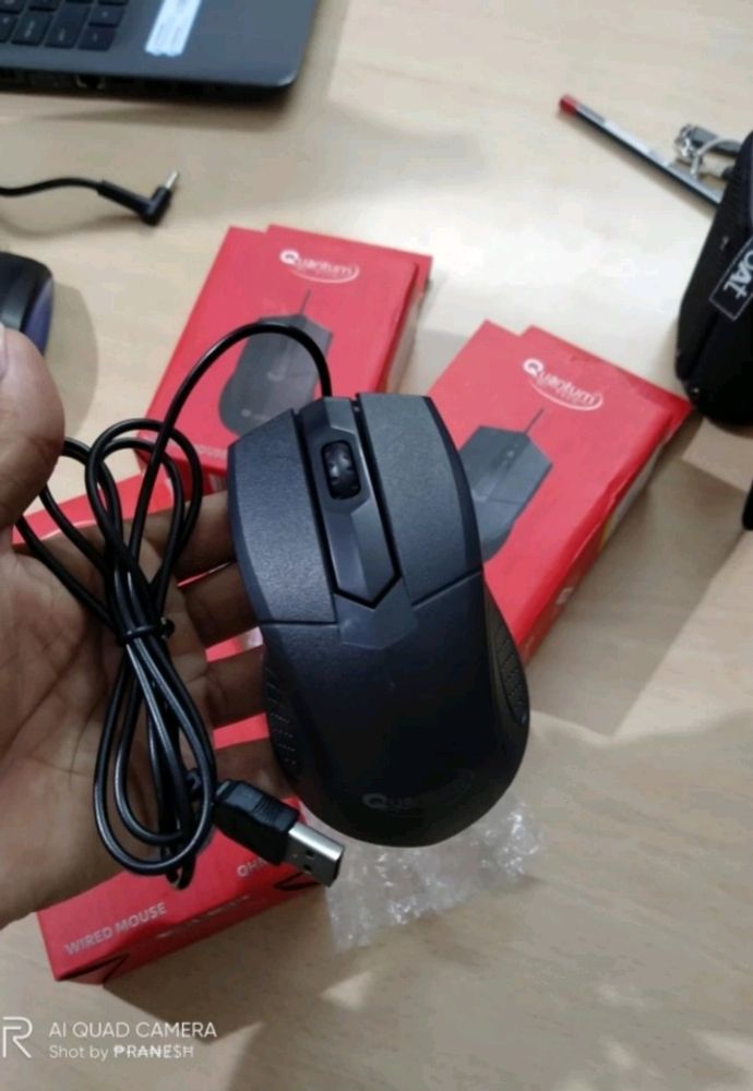 Mouse