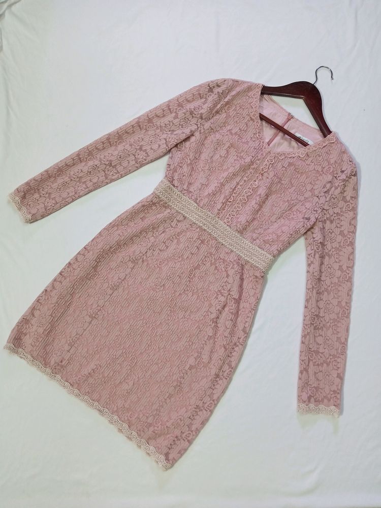 Lacey Bodycon Dress (Women) | BUST 32-34 |