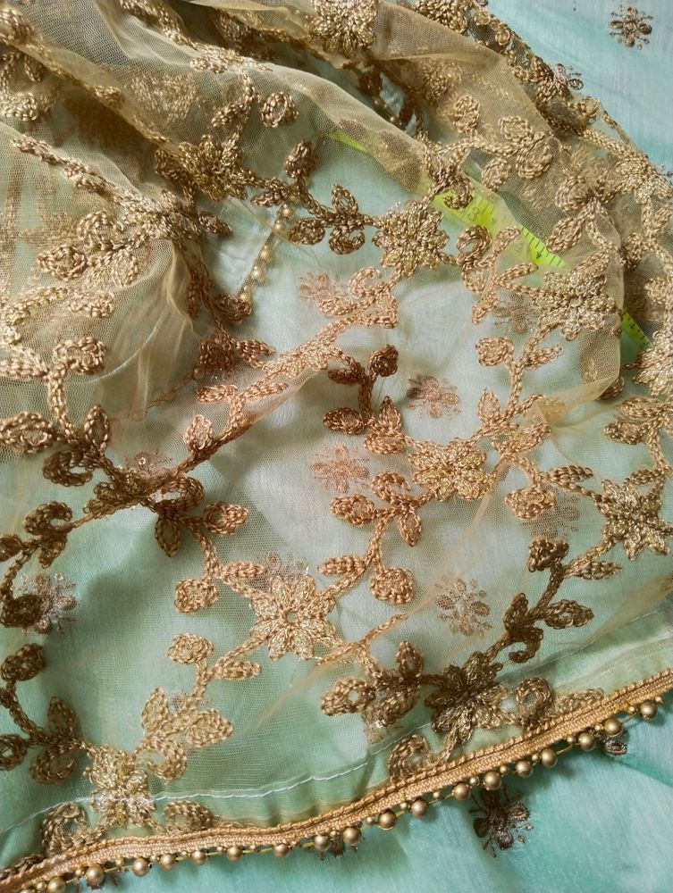 Gold Embroidered Net Dupatta