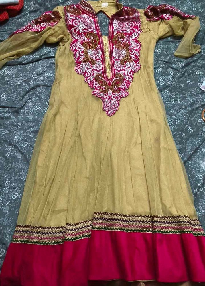 Elegant Embroidered Anarkali Dress