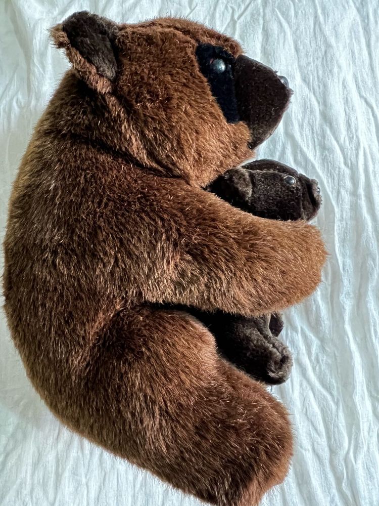 Toy Teddy Bear