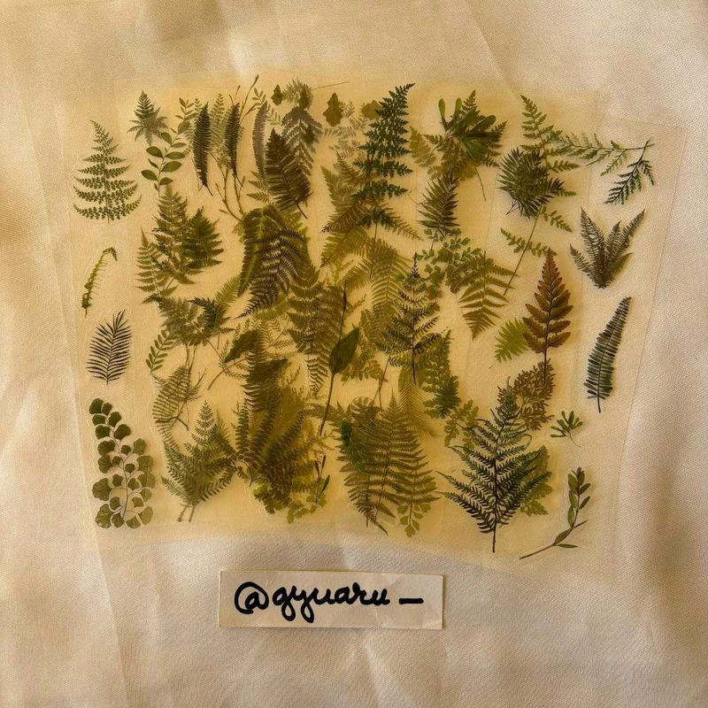 Nature Sticker Sheets