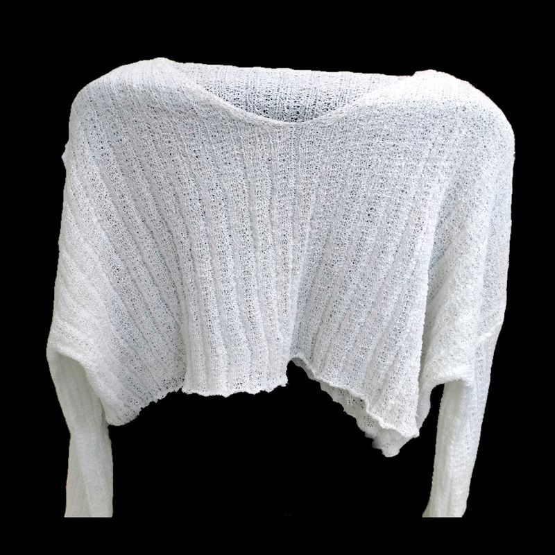 White Sheer/Net Crop Top