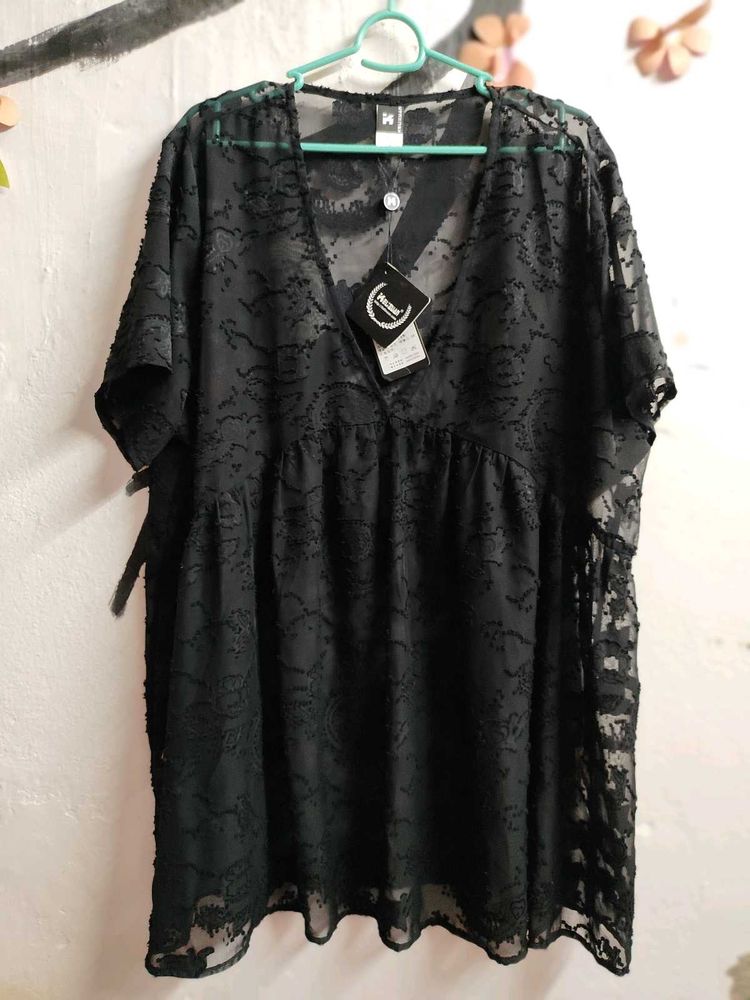 Korean Top Net