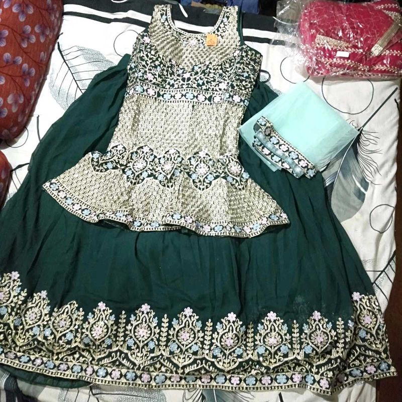 Brand New Lehenga (Any One)