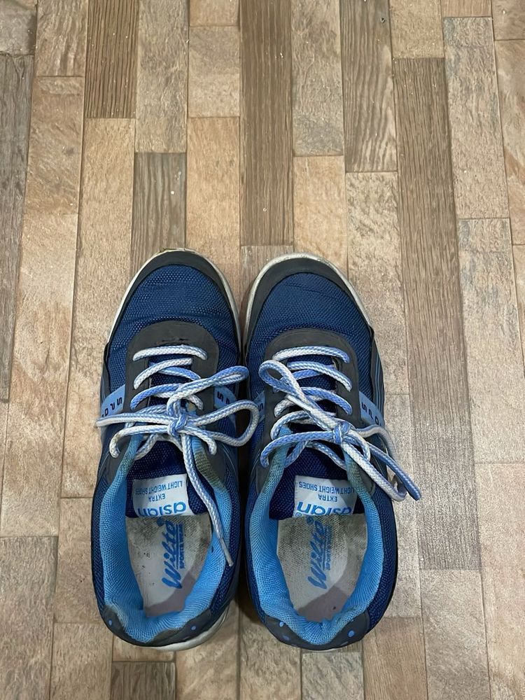 Asian Navy Blue Casual Shoes