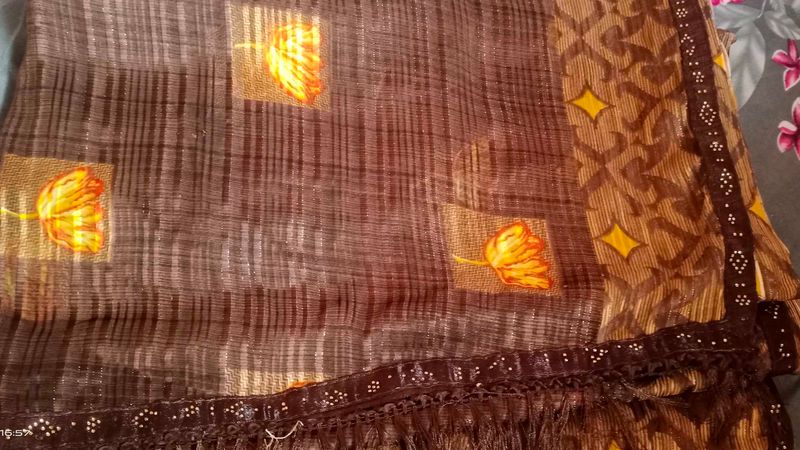 Elegant Brown Floral Saree