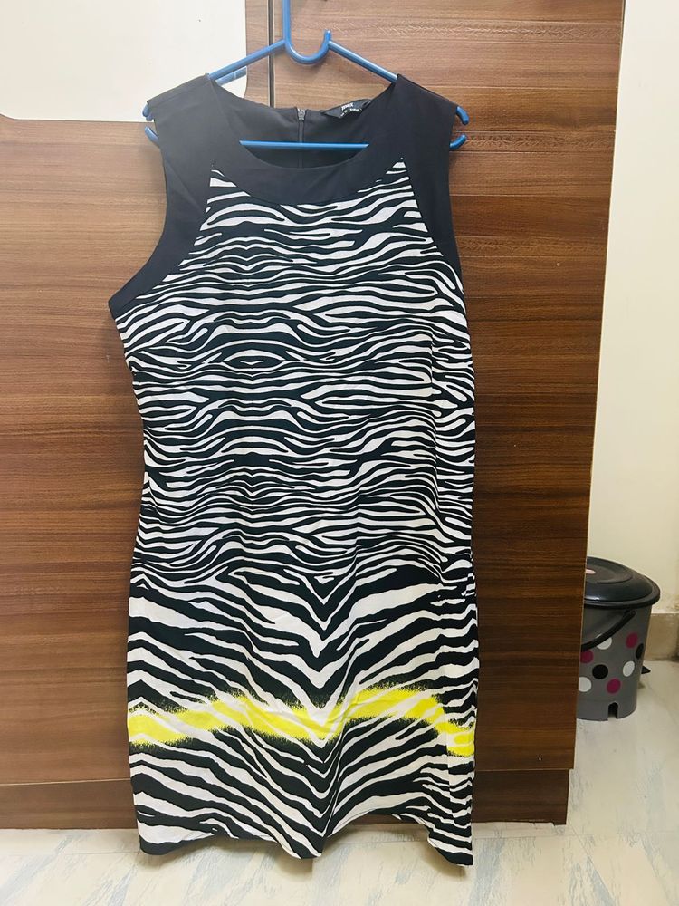 Max Zebra Print Dress