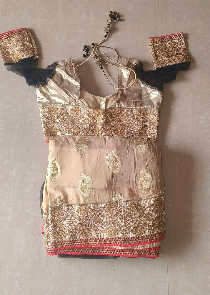 Regal Beige Saree Zardosi and Black Net Accents