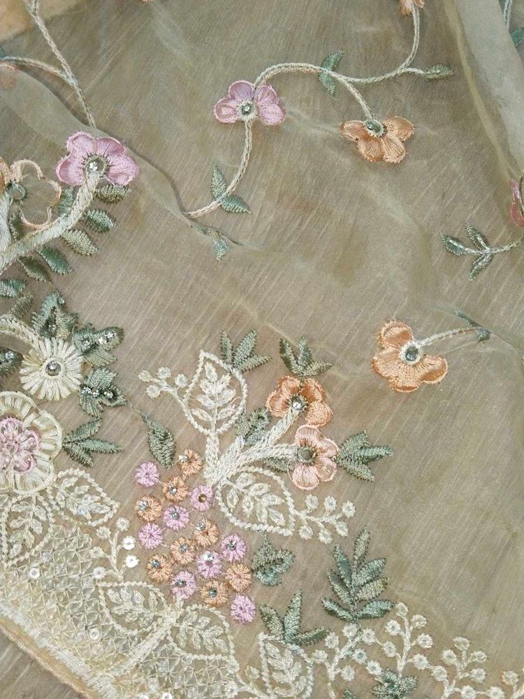 Organza Dupatta
