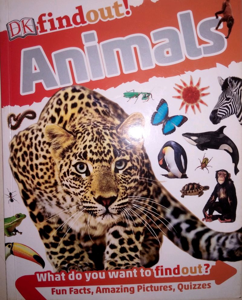 Findout! Animals