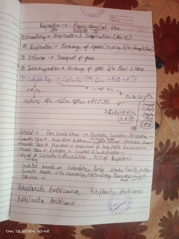 Class Notes And PYQs NEET
