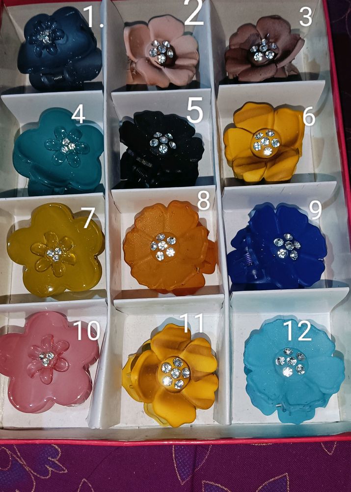 Clotur... Hair Clips