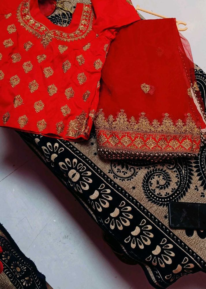Red &amp; Gold Embroidered Saree