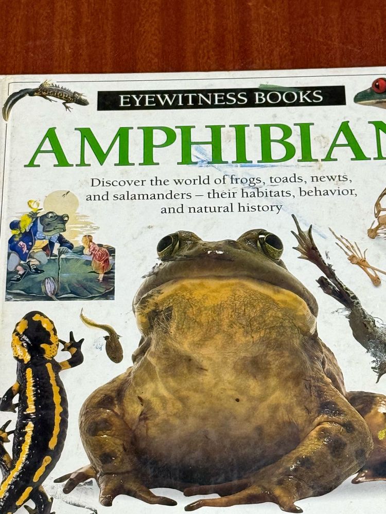 Eyewitness Books: Amphibian