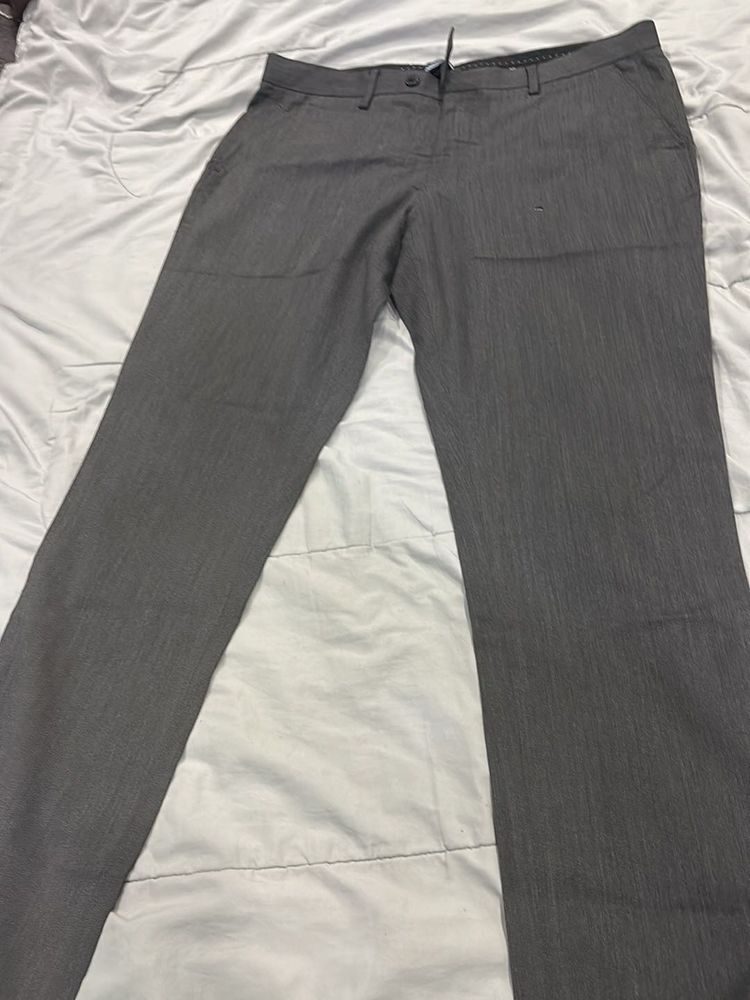 Pant