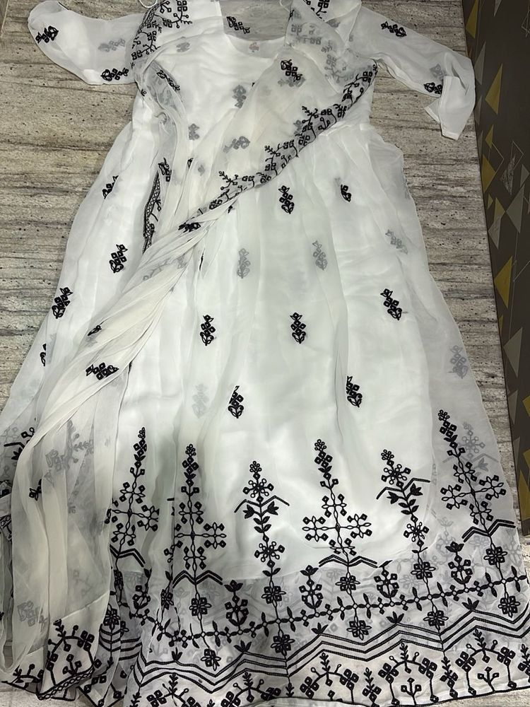 Elegant Ethnic Gown