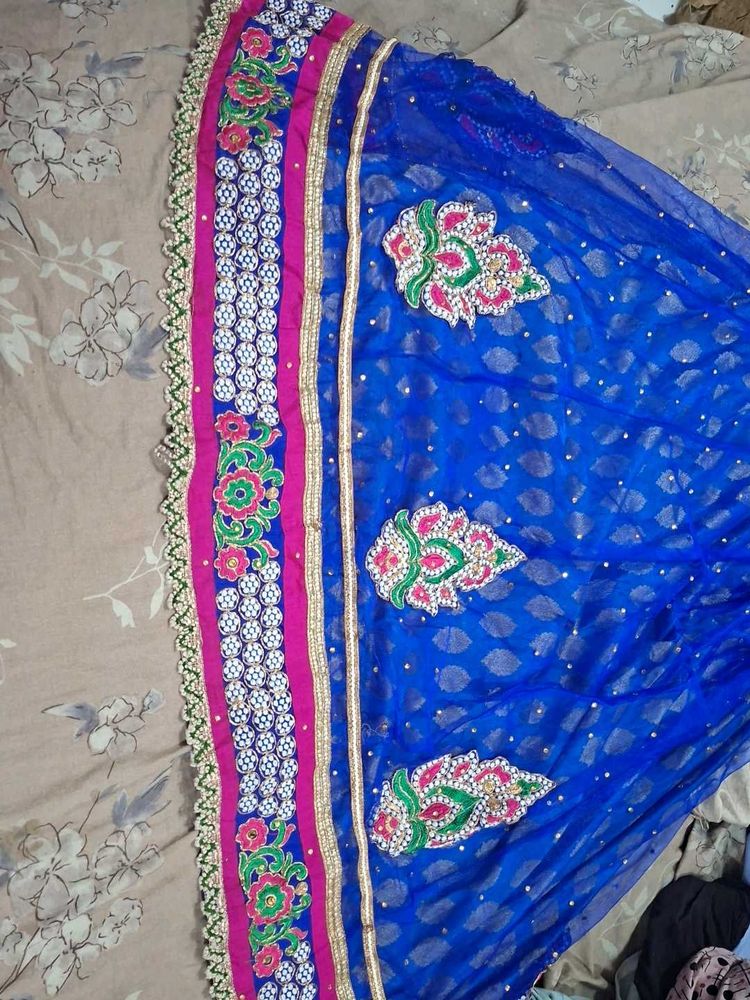 Blue Embroidered Lehenga Skirt