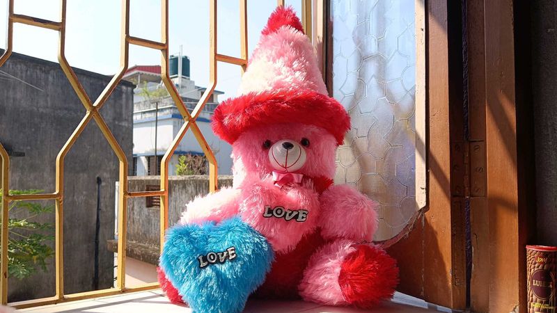 Soft Teddy Bear plushie with love hearts