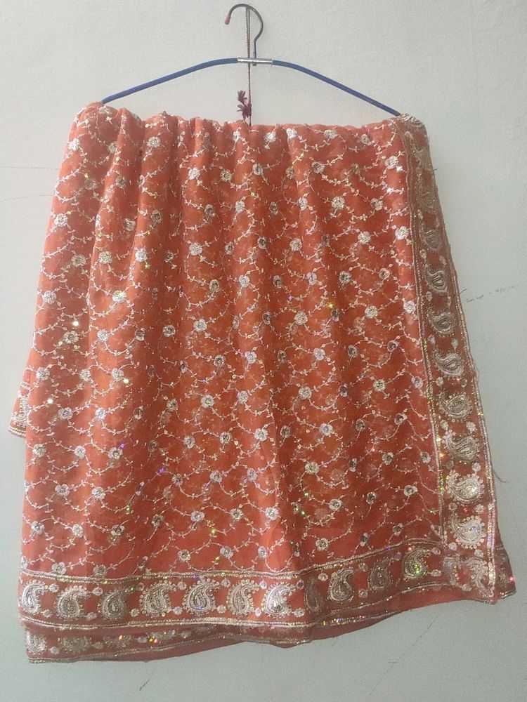 Heavy Resham Full Work Georget With Blouse P