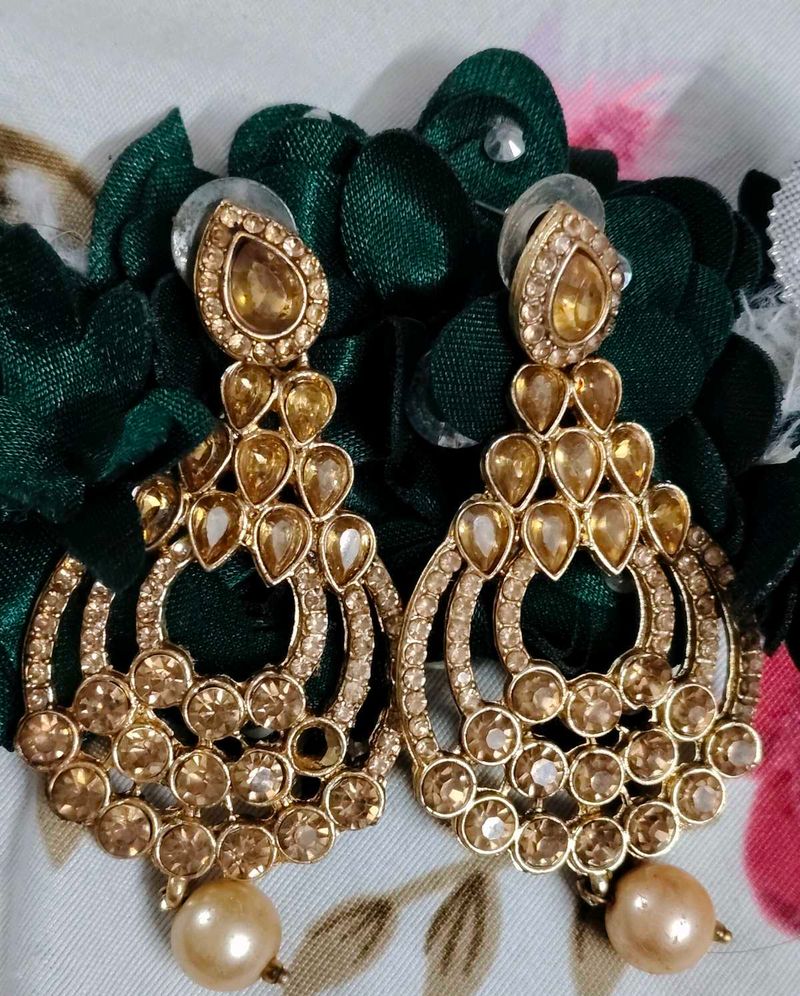 Elegant Golden Earrings
