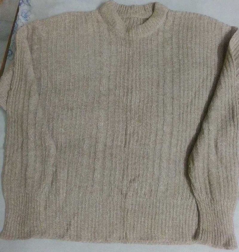 Light Brown Pullover With Free Sleeveless Sweater