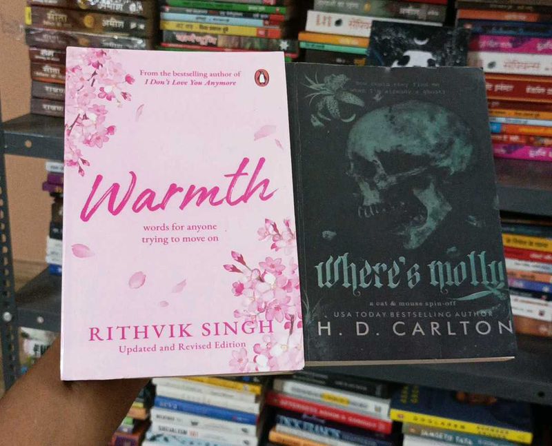 New  Fiction Books