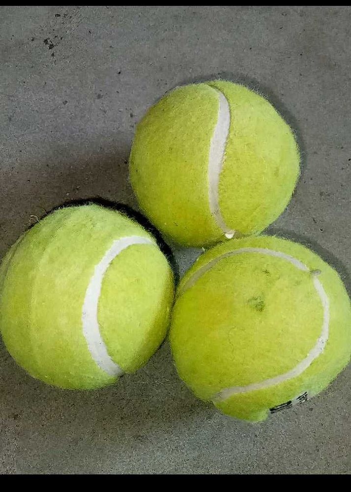 Cricket Tennis Ball Pack Of 3