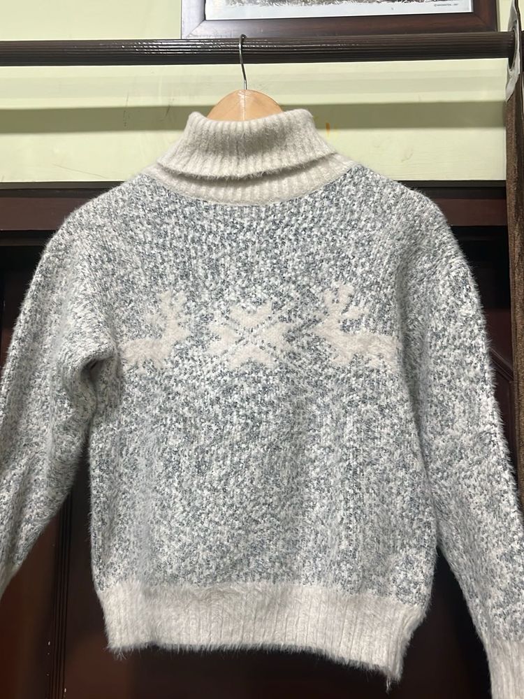 Stylish Turtleneck Sweater