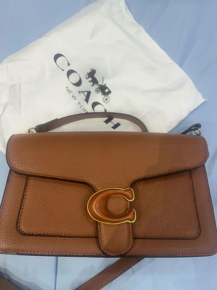 Coach  Handbag dupe