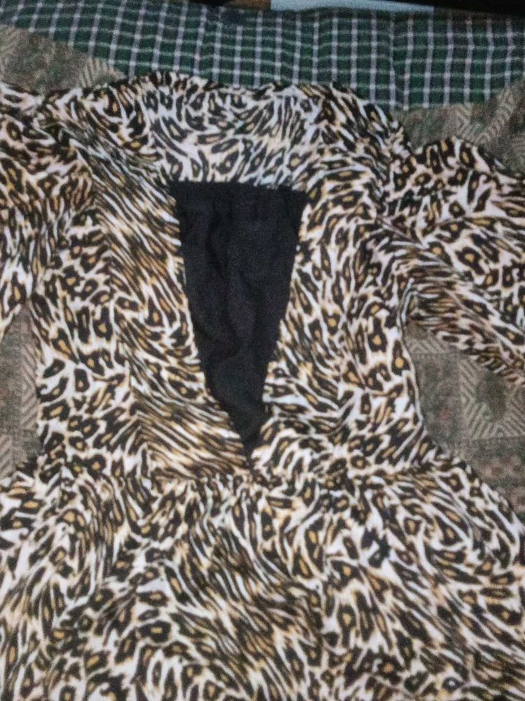 Animal Print Dress