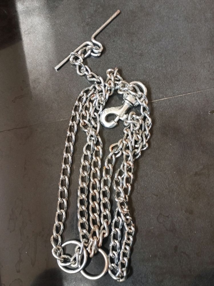 Dog Locket Chain