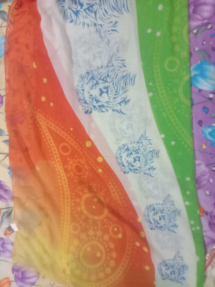 Clearance Sale! 2 Dupattas