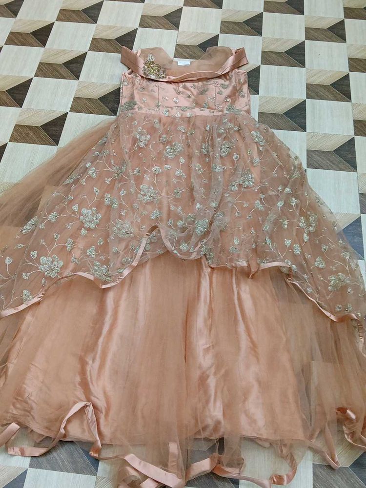 Elegant Ethnic Gown