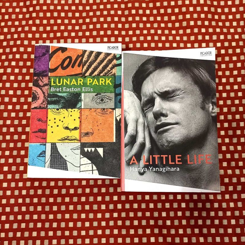 Lunar Park &amp; A Little Life