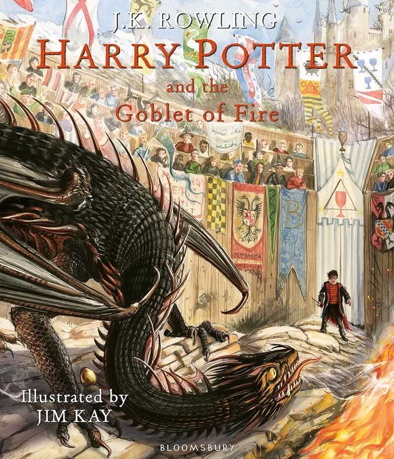 HARRY POTTER Illustrated Book