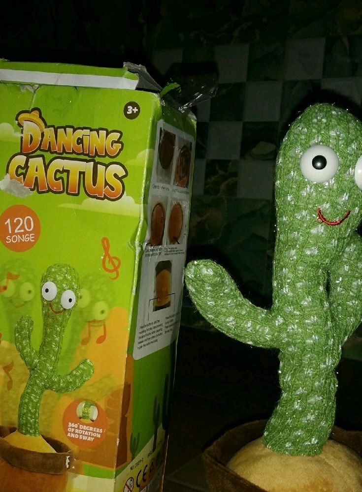 Dancing Cactus On Sale