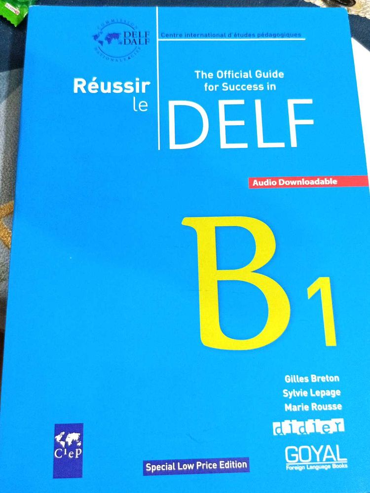 DELF B1 French Exam Guide