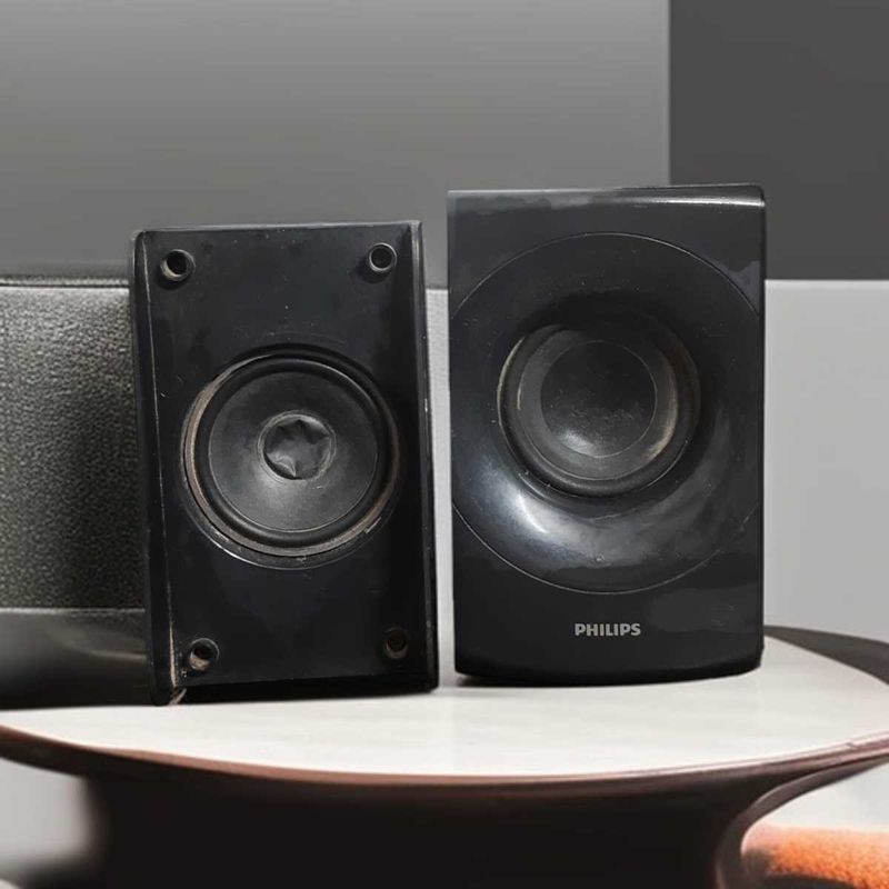 2 Speakers Not Working
