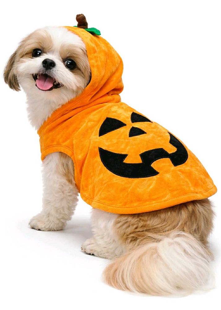 Dog Pumpkin Hoodie